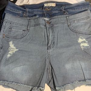 Plus Size Shorts